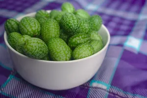 袖珍西瓜图片
