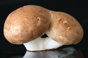 食用新鲜蘑菇图片_1