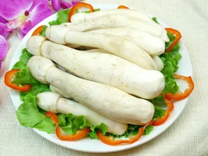 鸡腿菇图片_1