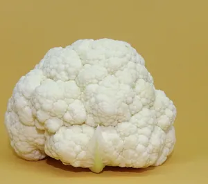 白色花椰菜图片