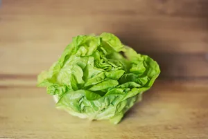 火锅菜图片第1张