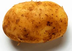 高清土豆图片下载_1