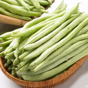 高清四季豆图片_1