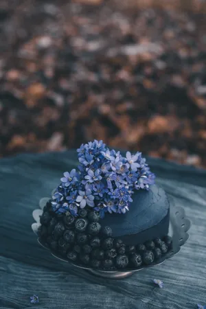 蓝莓水果鲜花蛋糕图片_1