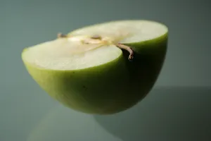 切半青苹果图片_1