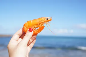 手拿一只煮熟虾图片_1