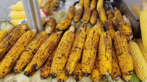 美味烤玉米图片