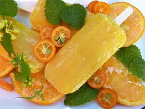 夏季水果冰棒图片_1