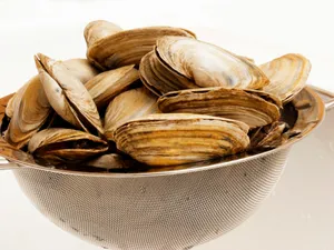 花蛤美食高清图片