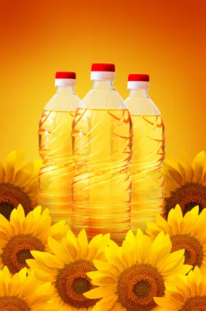 葵花油高清图片素材_1