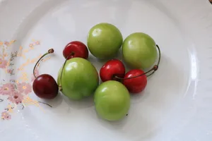 樱桃李子水果图片_1