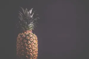 大菠萝图片_1