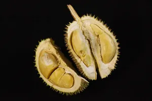 热带水果榴莲图片_1