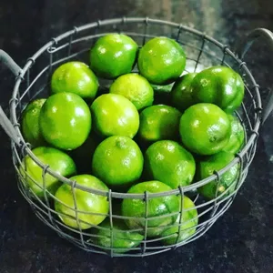 青色柠檬图片_1