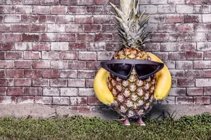 香蕉凤梨另类水果图片_1