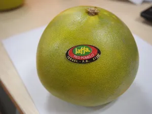 高清西柚图片_1