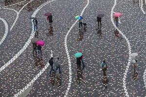 秋天下雨的图片_1