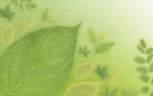 绿色与自然 第四辑_14