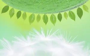 绿色与自然 第三辑_13