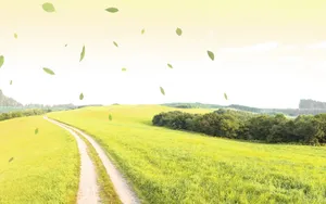 绿色与自然 第二辑_1
