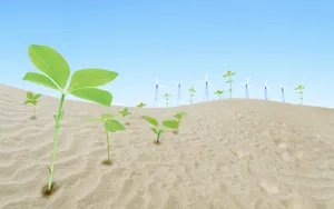 绿色与自然 第二辑_12