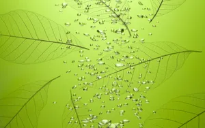 绿色与自然 第一辑_1