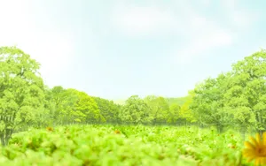 绿色与自然 第一辑_3