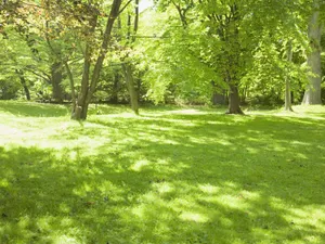 绿色草地 第四辑_11