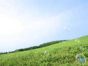 绿色草地 第四辑_12