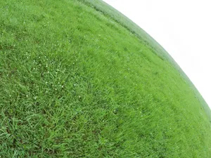 绿色草地 第四辑_15