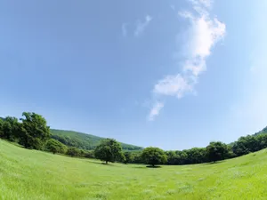 绿色草地 第四辑_18