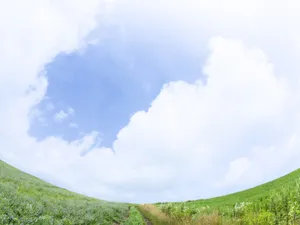 绿色草地 第一辑_5
