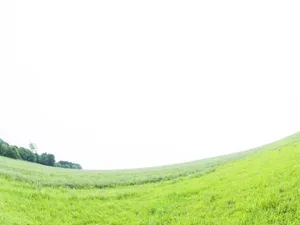 绿色草地 第一辑_9
