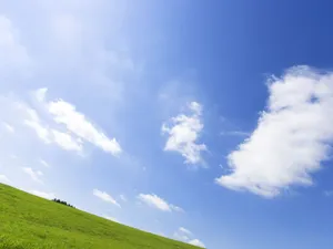 绿色草地 第一辑_12