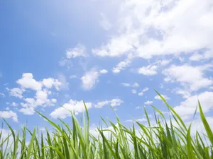 绿色草地 第一辑_13