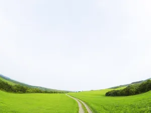 绿色草地 第一辑_16
