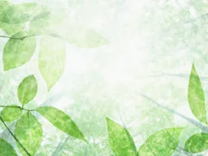 绿叶合成 第一辑_2