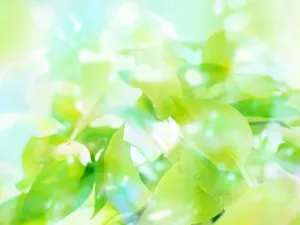 绿叶合成 第一辑_7