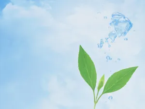 绿叶合成 第一辑_9