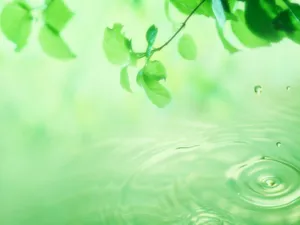 绿叶合成 第一辑_11