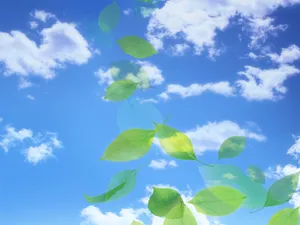 绿叶合成 第一辑_14