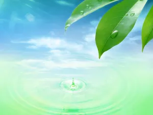 绿叶合成 第一辑_18