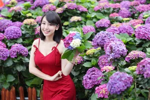 西西90后美女图片