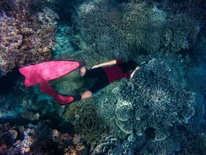 海洋潜水美女图片_1