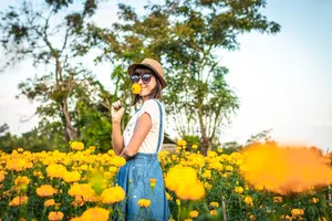 菊花丛中美女图片