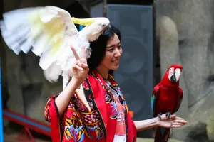 旅游摆拍日本美女图片_1