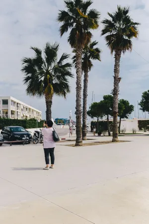 泊满船只的港口图片第张