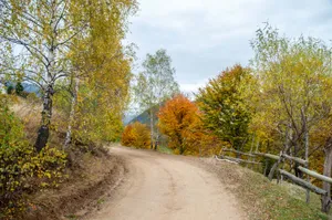 乡间泥泞的土路图片第张