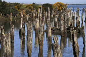 码头打桩图片第张