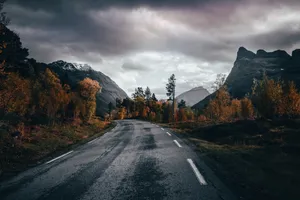 山坡柏油路图片_1